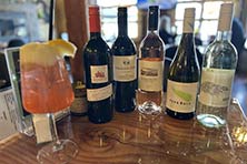 Cibo-and-vines Gallery